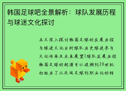 韩国足球吧全景解析：球队发展历程与球迷文化探讨