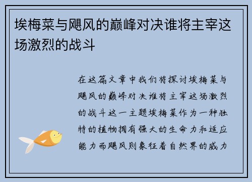 埃梅菜与飓风的巅峰对决谁将主宰这场激烈的战斗