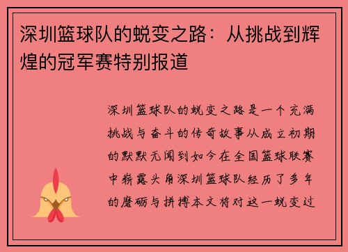 深圳篮球队的蜕变之路：从挑战到辉煌的冠军赛特别报道