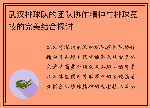 武汉排球队的团队协作精神与排球竞技的完美结合探讨